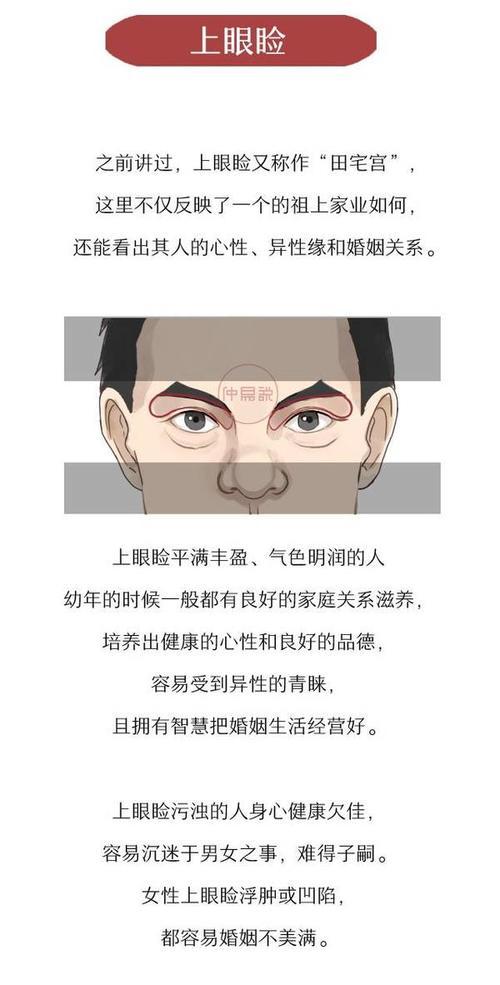 禽流感危机冲击全球禽类产品消费和贸易‘开云kaiyun官方网站’(图4) Kaiyun官方网站