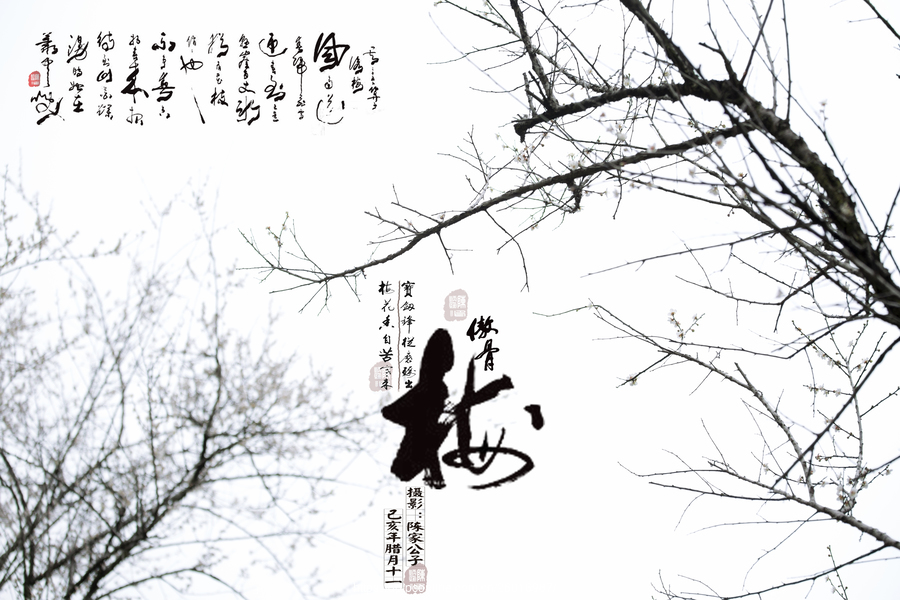 【开云kaiyun官方网站】绿色债券融资成本分析及政策建议(图3) kaiyun官网入口