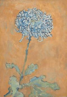 【kaiyun官网入口】全国各省区《农村人居环境整治三年行动方案》大汇总(图2) kaiyun官网入口