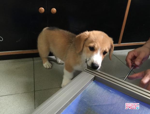 开云kaiyun官方网站