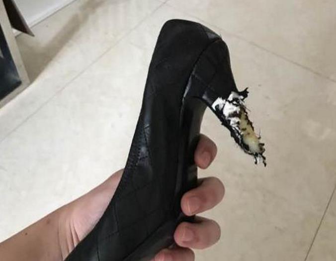 Kaiyun官方网站:欧洲议会大选前 环团推「欧洲永续公约」提案(图4) 开云kaiyun官方网站