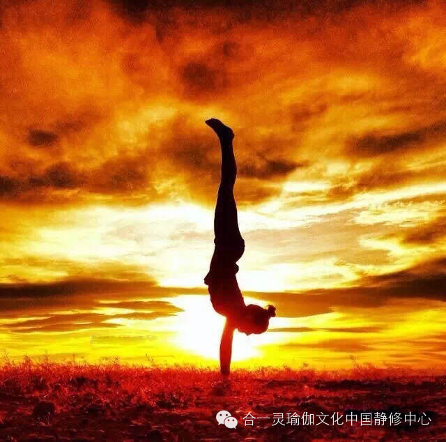 开云kaiyun官方网站