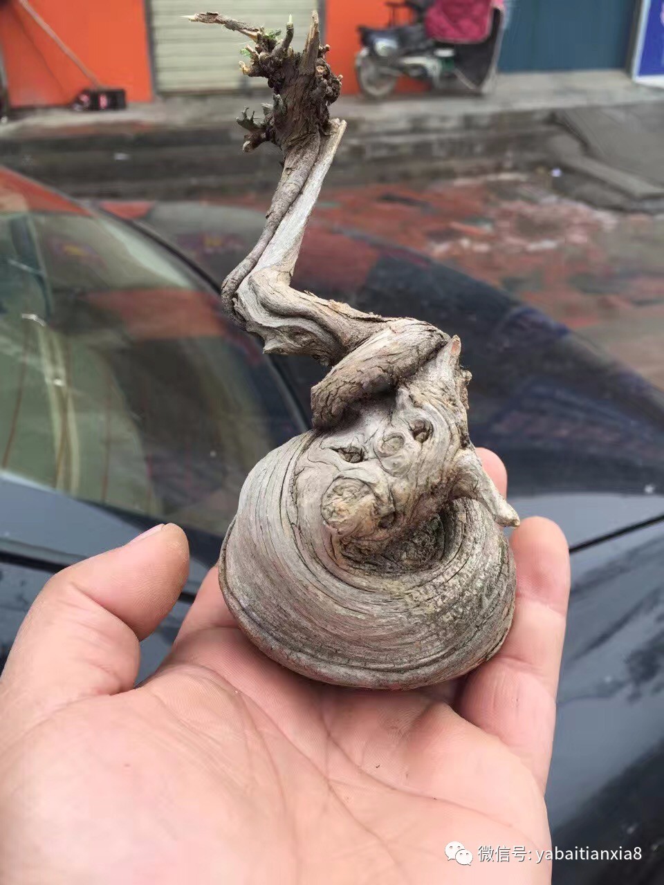 开云kaiyun官方网站-
“自废武功”还不够?欧盟对乌克兰发出通牒:想加入就扬弃重工业(图1) kaiyun官网入口