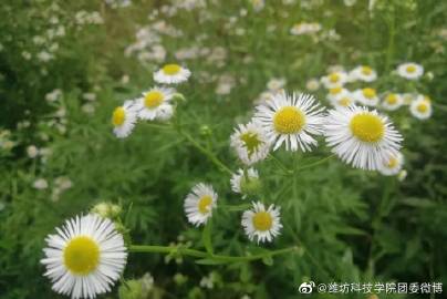 开云kaiyun官方网站