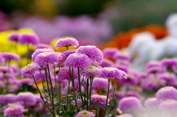 开云kaiyun官方网站