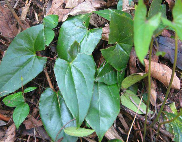 开云kaiyun官方网站