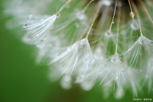 开云kaiyun官方网站