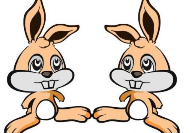 630头加拿大种猪乘专机抵渝入住千万豪宅-kaiyun官网入口(图3) Kaiyun官方网站