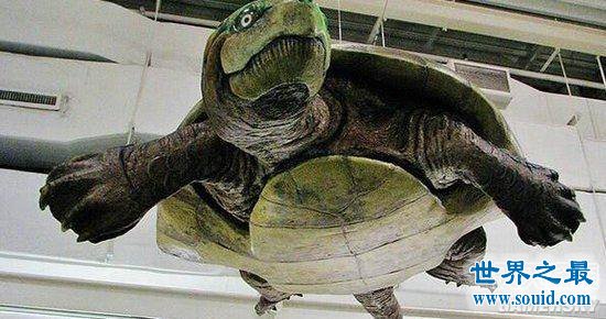 前皇马主帅:索拉里和贝尔可能都会在本赛季后离开-开云kaiyun官方网站(图3) 开云kaiyun官方网站