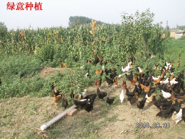 “开云kaiyun官方网站”
水下直播(图23) Kaiyun官方网站