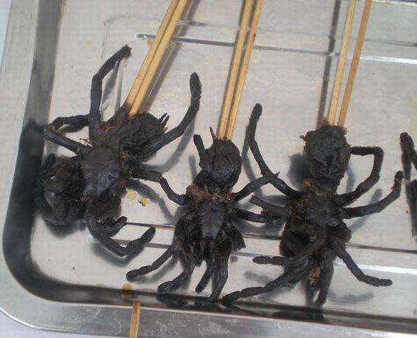 【kaiyun官网入口】2017年猪场拆迁将继续!地方政府的业绩与环保挂钩!(图3) kaiyun官网入口