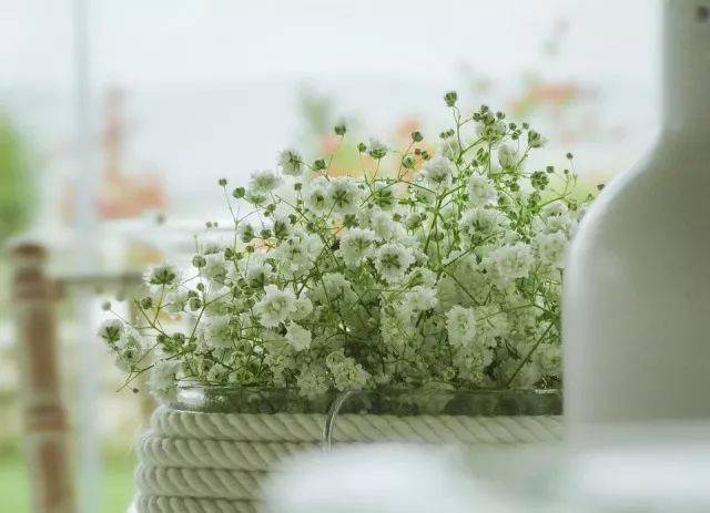 kaiyun官网入口-环保组织报告:塑胶玩具增塑剂超标,电商核查抽检不到位(图2) Kaiyun官方网站