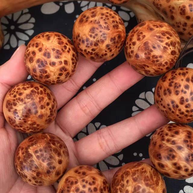 ‘Kaiyun官方网站’7个亮点――政府工作报告里的环保信号