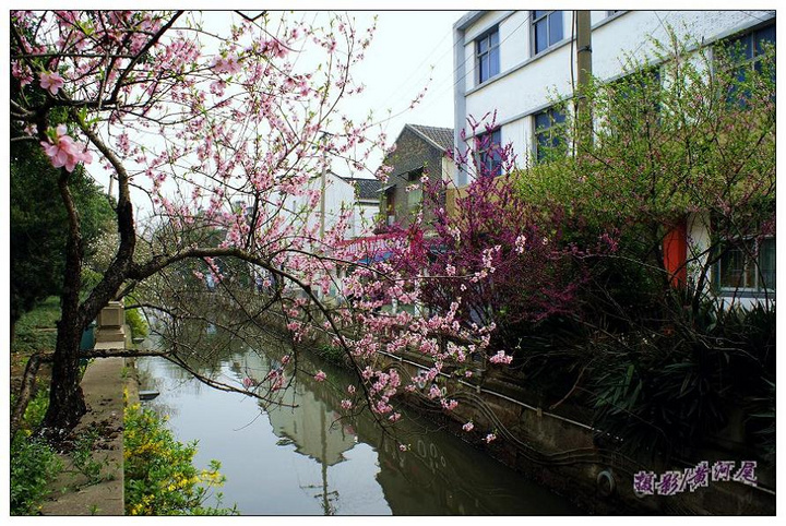 江西发现一例人感染H10N8禽流感病例_开云kaiyun官方网站(图1) Kaiyun官方网站